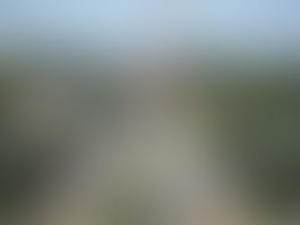 Telén pasó a ser la comuna que más recauda en La Pampa