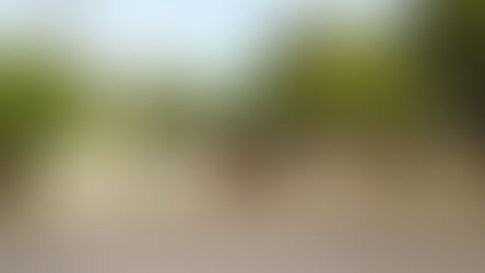 En nuestra provincia bajan los casos y regresan las clases presenciales