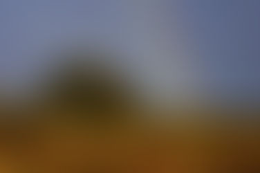 30 de agosto: feriado provincial