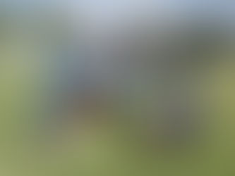 Inferiores: Goleadas winifredenses en la última fecha