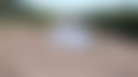 El Atuel lleva 11 años sin llegar a su caudal medio