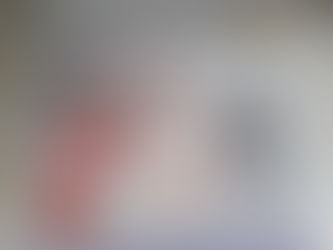 Julieta Abril Streitenberger festejó sus 15 años de vida