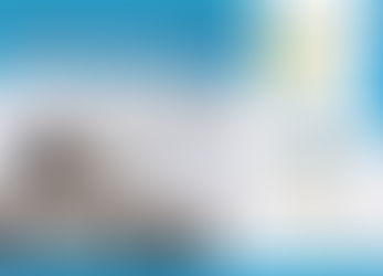 Reunión en el Museo para conformar el Club de observadores de aves