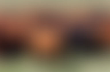 Ganadería: El stock ganadero en La Pampa está en una «cifra adecuada»