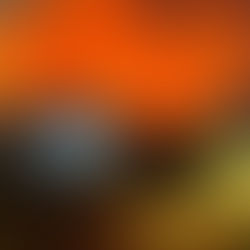 Incendios forestales en la Patagonia : una combinación de clima, expansión urbana y agrícola y decisiones políticas