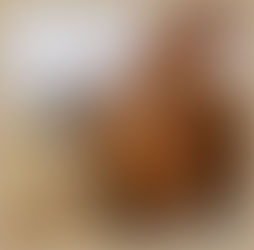 General Pico contará con una fábrica escuela de leche, yogur y dulce de leche