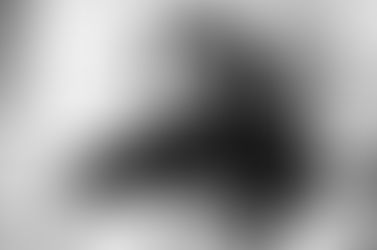 A 20 años de la muerte de Olga Orozco