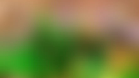 El próximo domingo 17, llega «Trulalá» al Vivero de Winifreda