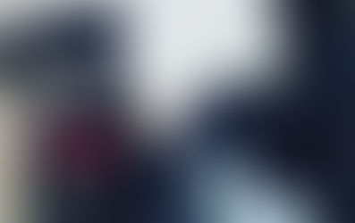 Le robaron dos perros y le pidieron rescate