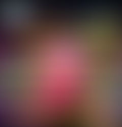 Hoy se juega la doce