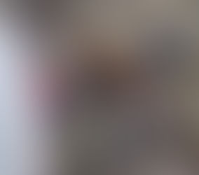 Delegados pampeanos y mendocinos del CIAI recorren el cauce del Atuel