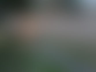 Winifreda: cayeron casi 100 mm en 45 minutos