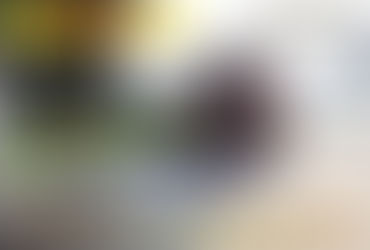 Pavimentan 13 cuadras en Mauricio Mayer