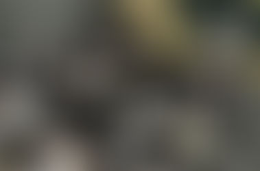 Seis colegios de gestión privada pasarán a la órbita estatal