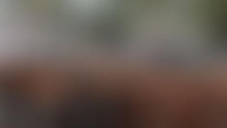 Otra semana con una plaza sostenida