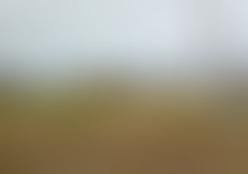 Winifreda: Todo loteo deberá donar al municipio un porcentaje del terreno