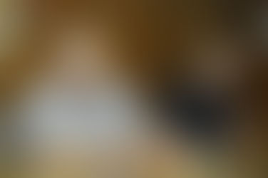 Crisis del SEMPRE: ''No queremos quebrar'', le dijo Tavella a los diputados