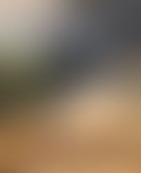 La tristeza de Don Mora: un incendio le mató 50 vacas y 90 chivas