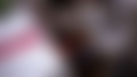 Educación avanza con una nueva regulación para restringir el uso de celulares en las escuelas pampeanas