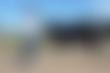 Ganadería: Genética pampeana a Etiopía