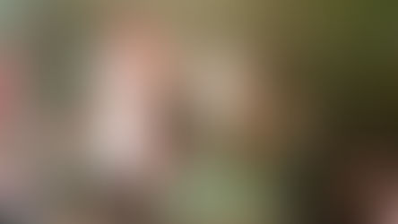 Nuevo concurso de bandas y solistas