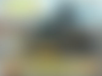 La intendenta obtuvo aval para comprar una retropala