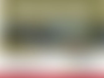 Bosques: plan de Manejo Sostenible Anual