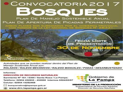 Bosques: plan de Manejo Sostenible Anual