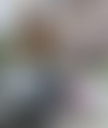 Se aprobó el Protocolo de Intervención para los casos de detección de Trabajo Infantil y Adolescente