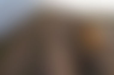 Prueba piloto con producción de alcaparras en Conhello