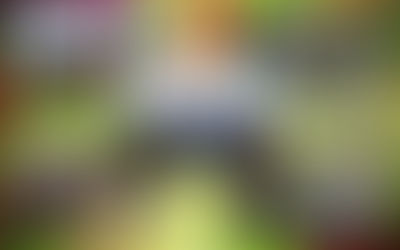 Video: una ceremonia ranquel en un chenke