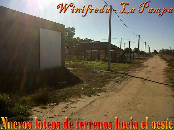 Winifreda