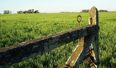 Inclusión de infraestructura para pequeños productores