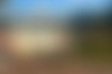 Caza ilegal: secuestran fusiles, camionetas y el trofeo de un ciervo colorado tras un allanamiento en zona rural