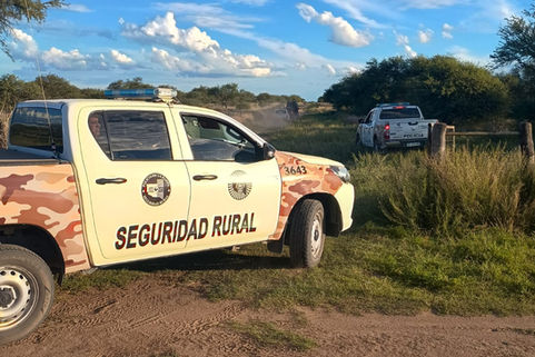 Caza ilegal: secuestran fusiles, camionetas y el trofeo de un ciervo colorado tras un allanamiento en zona rural