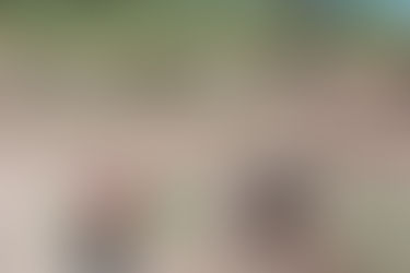 Lucero no pudo sembrar