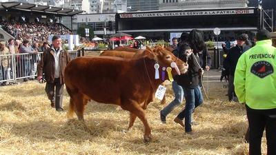 Productores pampeanos en la Rural