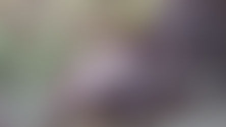 Ternero mutilado: Misterio en un campo pampeano