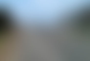 Los alteos de la vergüenza