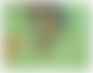 “Me quieren bajar de un hondazo”