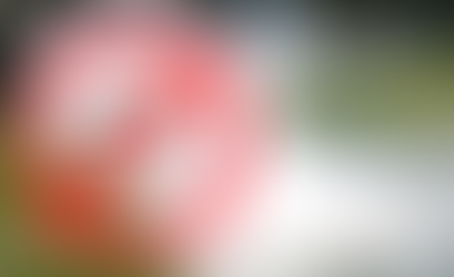 Fumigación se pospuso para el lunes y martes