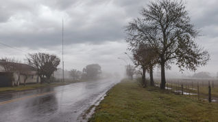 Última semana de julio con humedad, neblinas y temperaturas moderadas