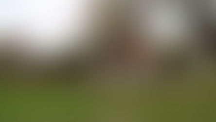 Clases no presenciales luego del acto electoral en los establecimientos afectados