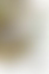 Producción: Curso de guías de caza