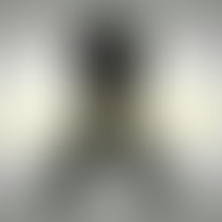 Sepelio de Lorenzo Moroni Naab