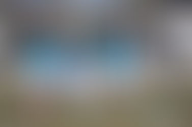 Buena cosecha de los delanteros