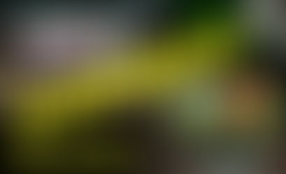 Los Aztecas, Cable Imagen y Premoldeados Norte lideran el Toreo Nocturno