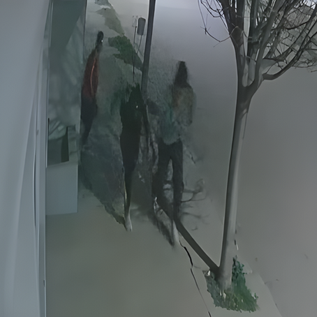 Intento de robo en Winifreda: tres jóvenes rompieron la puerta de una vivienda y huyeron al ser descubiertos (VIDEO)