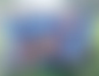 Deportivo Winifreda: Fin de temporada y muchos buenos proyectos