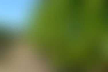 Proyectos de riego de Bajo de los Baguales y Planicie Curacó